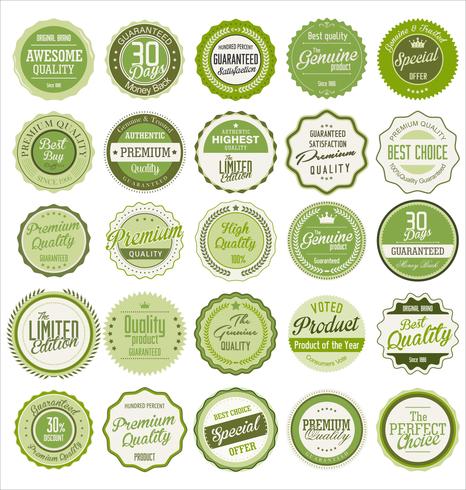 Collection de badges et étiquettes rétro vierges vintage vecteur