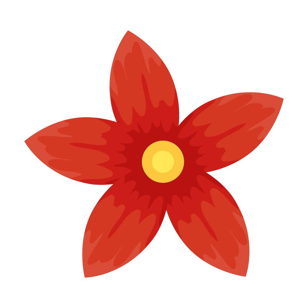 couleur rouge fleur, concept de printemps sur fond blanc vecteur