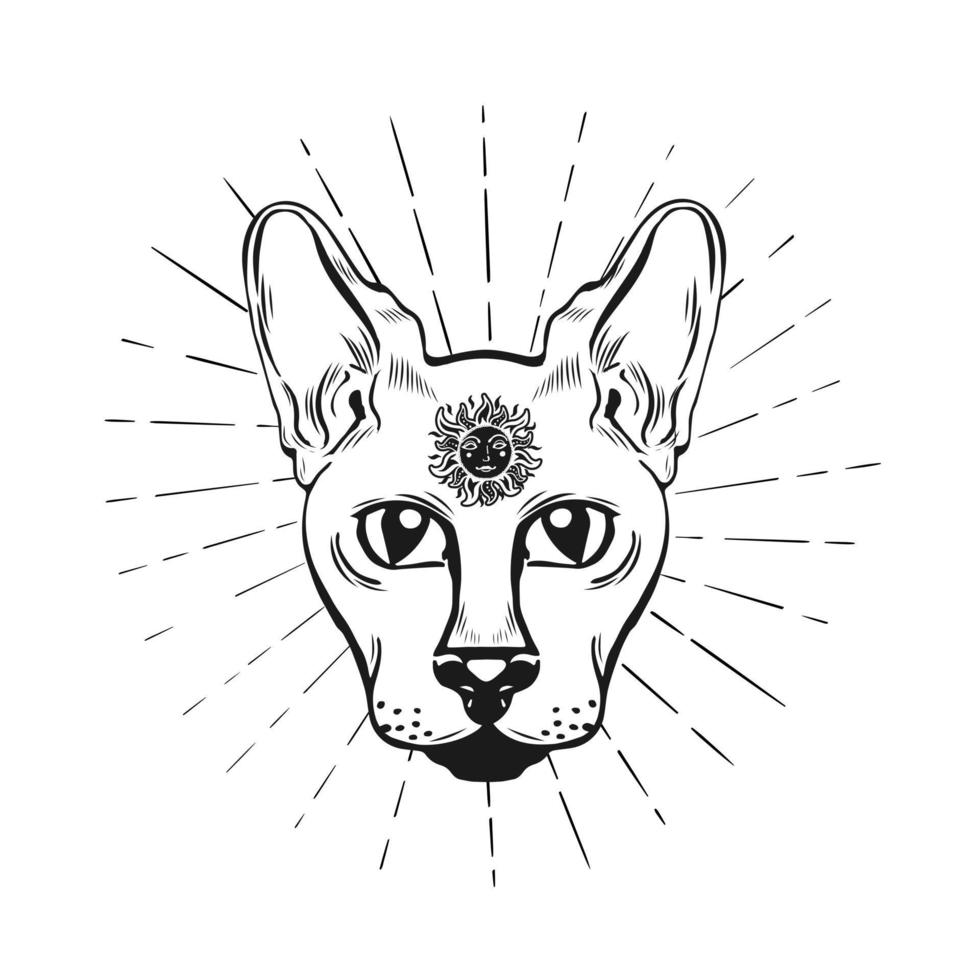 visage de chat sphinx avec soleil sur l'illustration vectorielle du front. vecteur