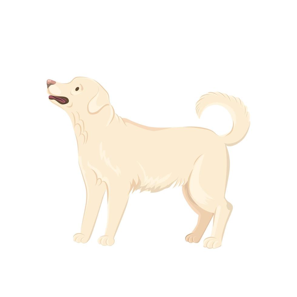 illustration vectorielle de chien labrador mignon. vecteur