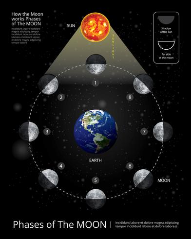 Mouvements des phases de la lune Illustration vectorielle réaliste vecteur