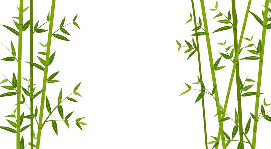 Illustration vectorielle de l&#39;arrière-plan du modèle bambou vert vecteur