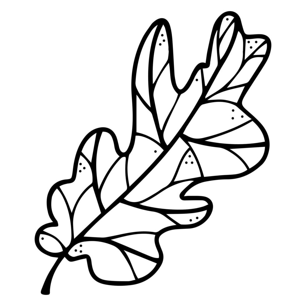 doodle de feuille de chêne dessiné à la main. croquis botanique. contour mince noir de feuille de chêne avec nervures et tige. illustration monochrome isolée sur fond blanc. icône vectorielle d'une feuille d'automne tombée. vecteur