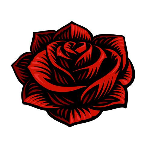 Illustration vectorielle de fleur rose vecteur