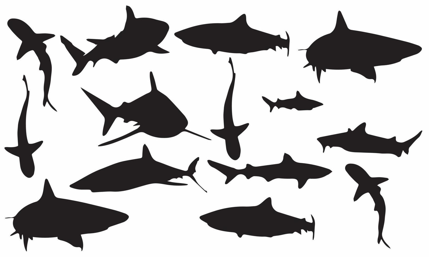 conception d'illustration vectorielle de silhouettes de prédateurs de requins collection de fond noir et blanc vecteur