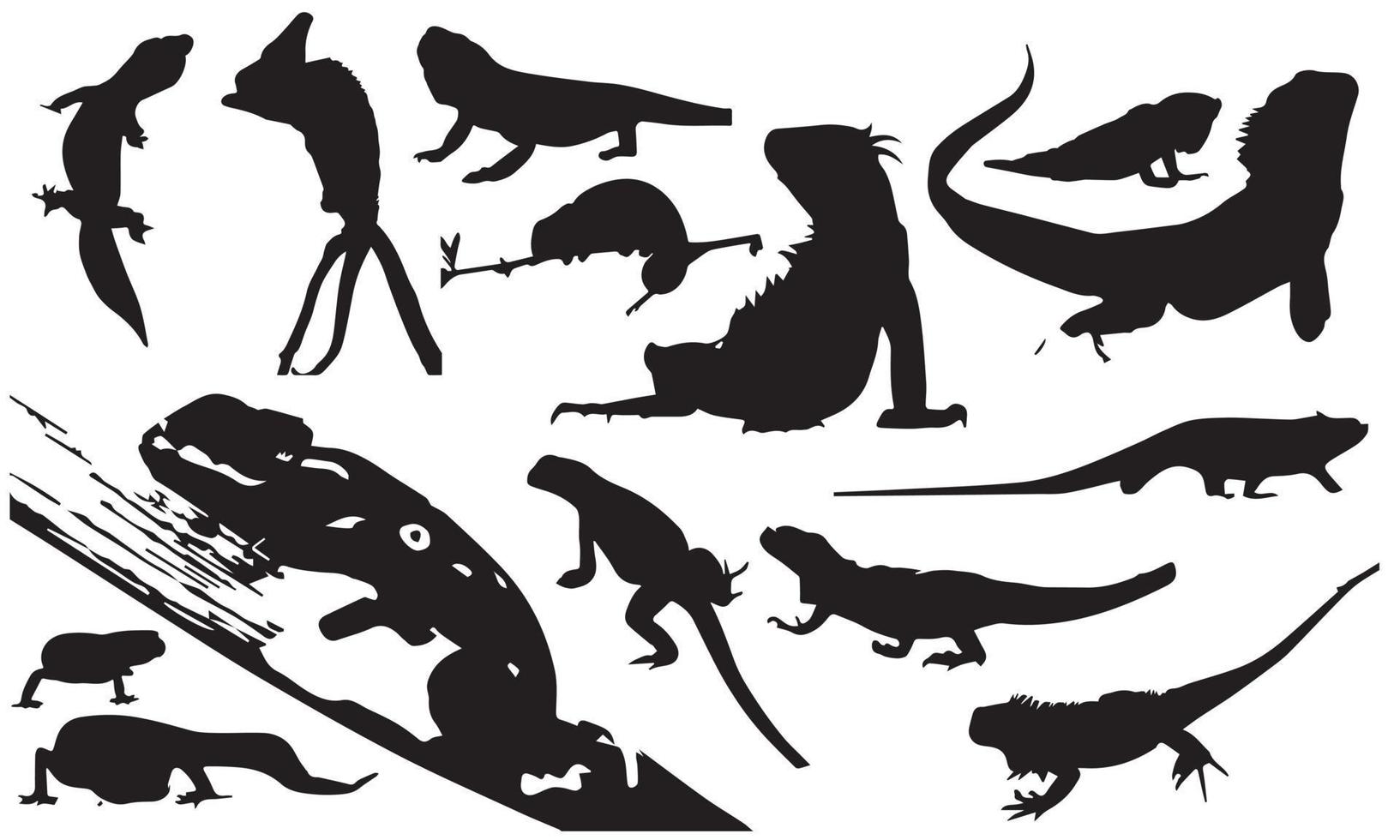 reptiles vector illustration design collection de fond noir et blanc