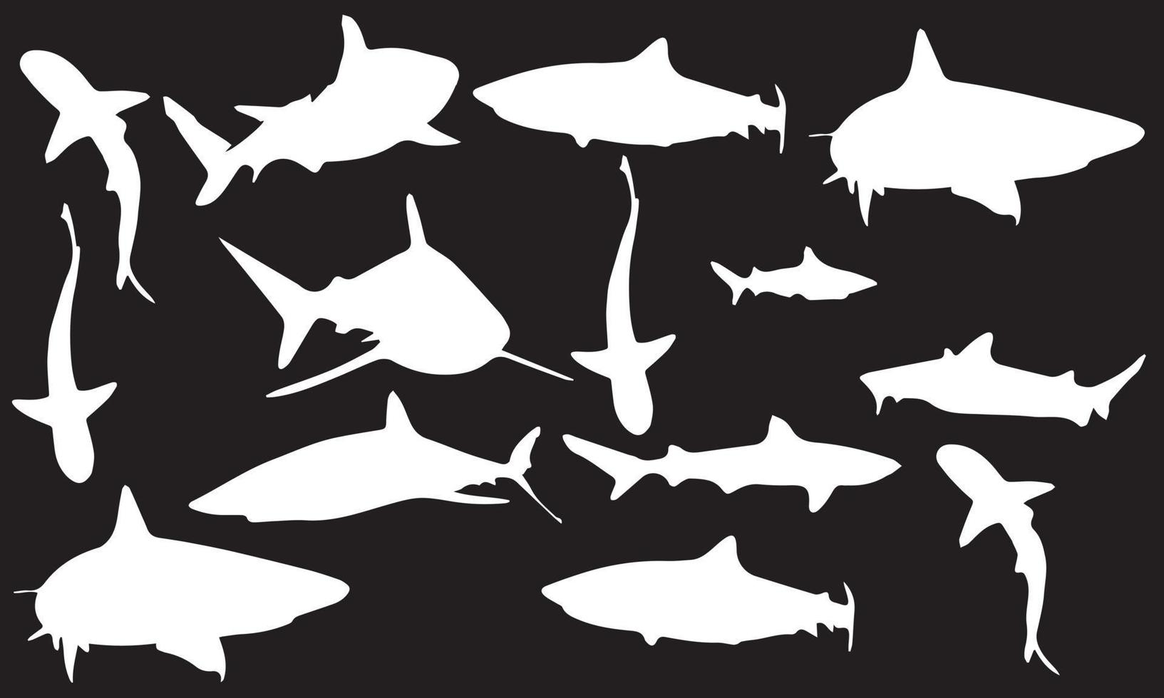 conception d'illustration vectorielle de silhouettes de prédateurs de requins collection de fond noir et blanc vecteur