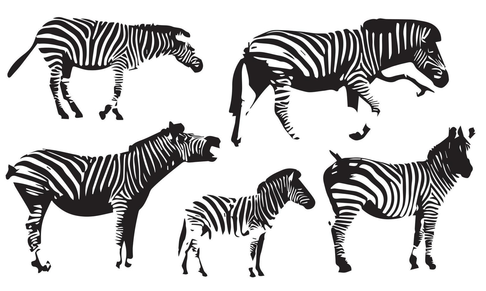 silhouettes d'illustration vectorielle collection de zèbres de faisceaux d'animaux vecteur