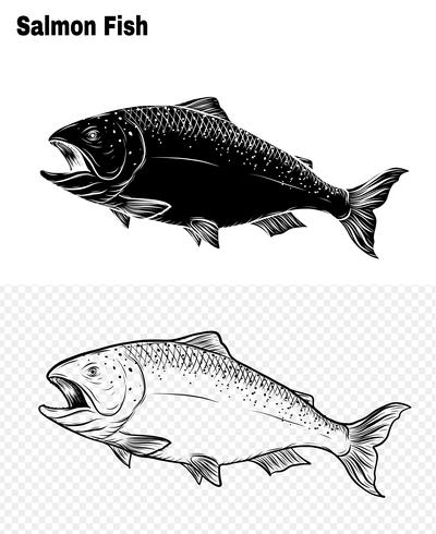 Poisson vectoriel dessin à la main.