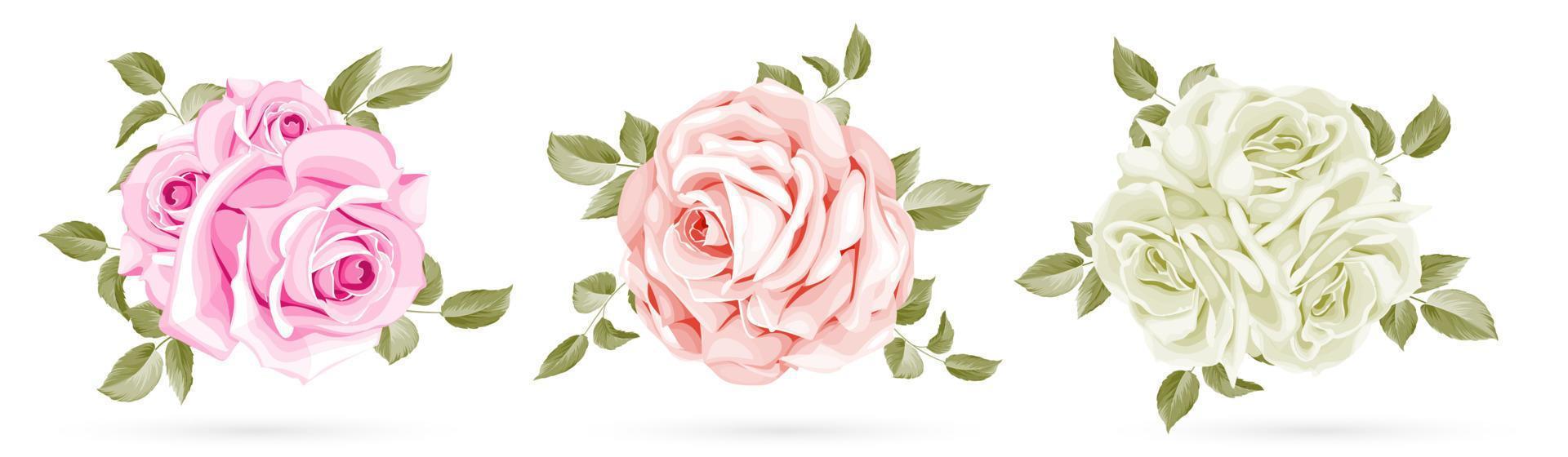 bouquet rose isolé sur fond blanc vecteur