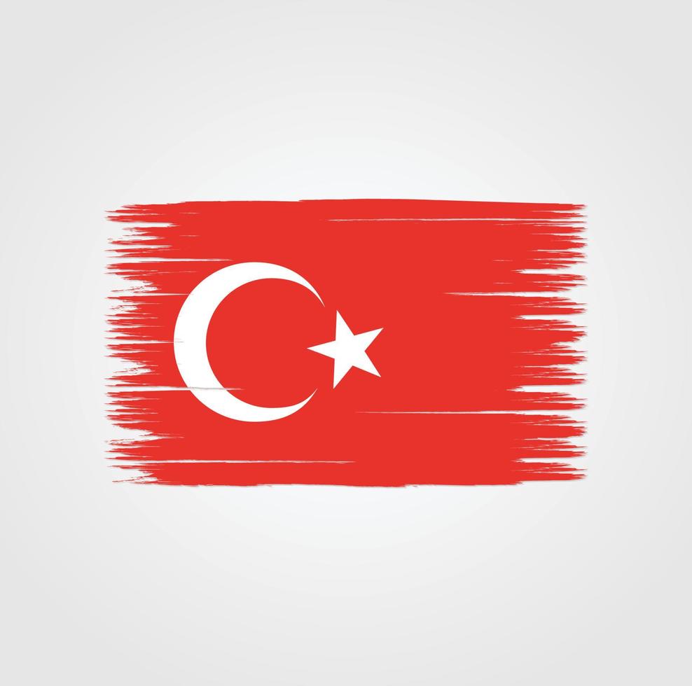drapeau de la turquie avec style pinceau vecteur
