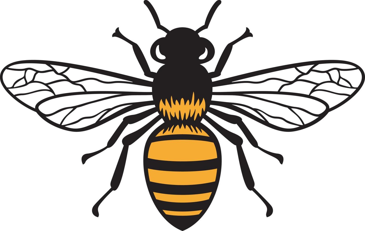 illustration vectorielle de couleur insecte abeille vecteur