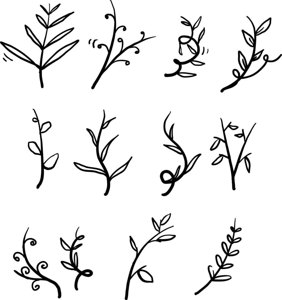 collection de branches et de feuilles vectorielles. éléments floraux dessinés à la main. illustrations botaniques anciennes. vecteur