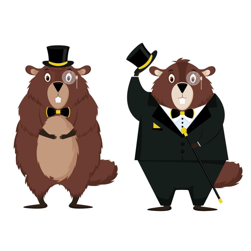 bonne fête de la marmotte. ensemble de deux marmottes élégantes isolées sur fond blanc. illustration vectorielle. vecteur