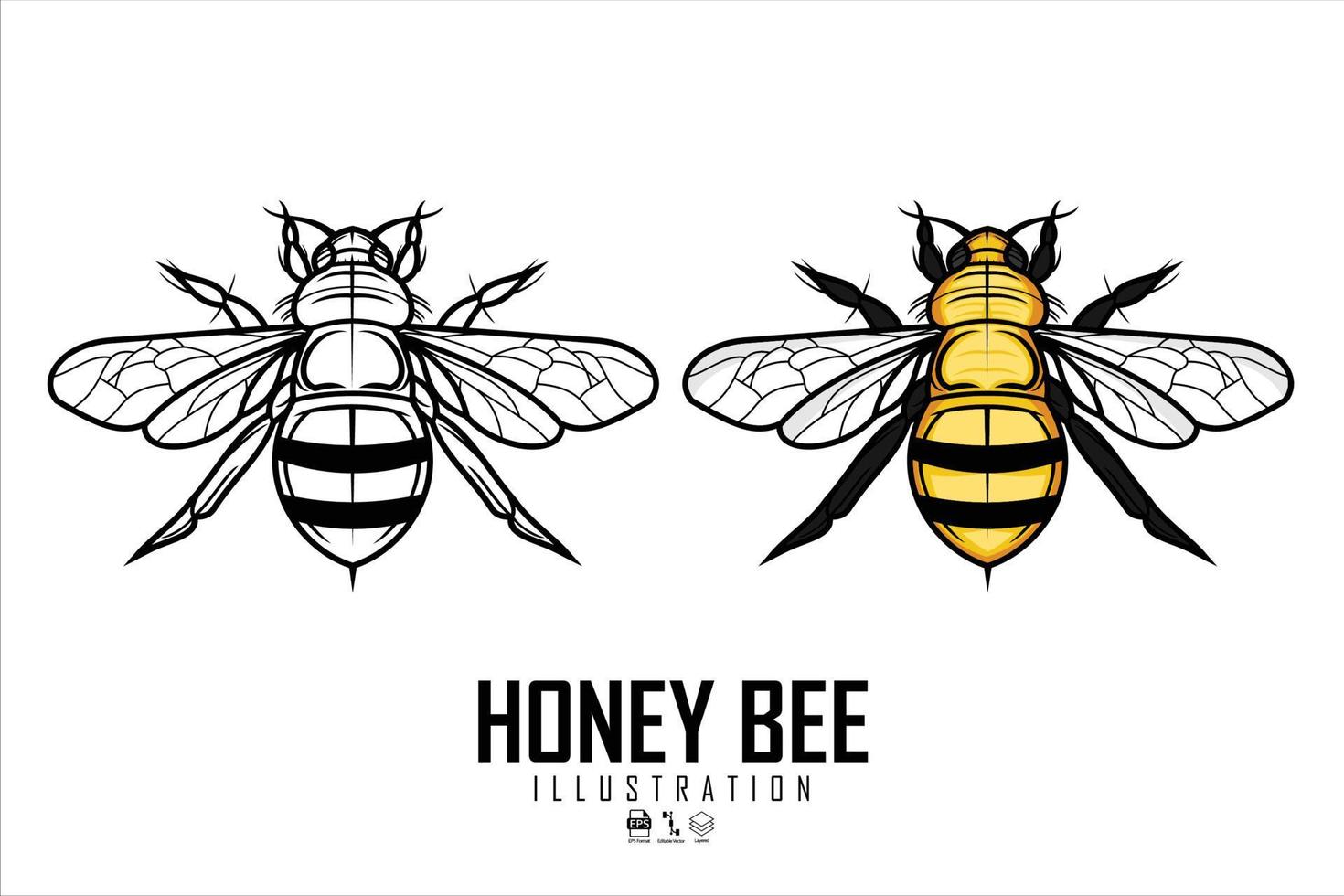 illustration d'abeille avec un fond blanc.eps vecteur