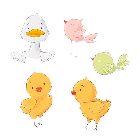 Ensemble de mignons poulets et canetons, illustration vectorielle en style cartoon vecteur