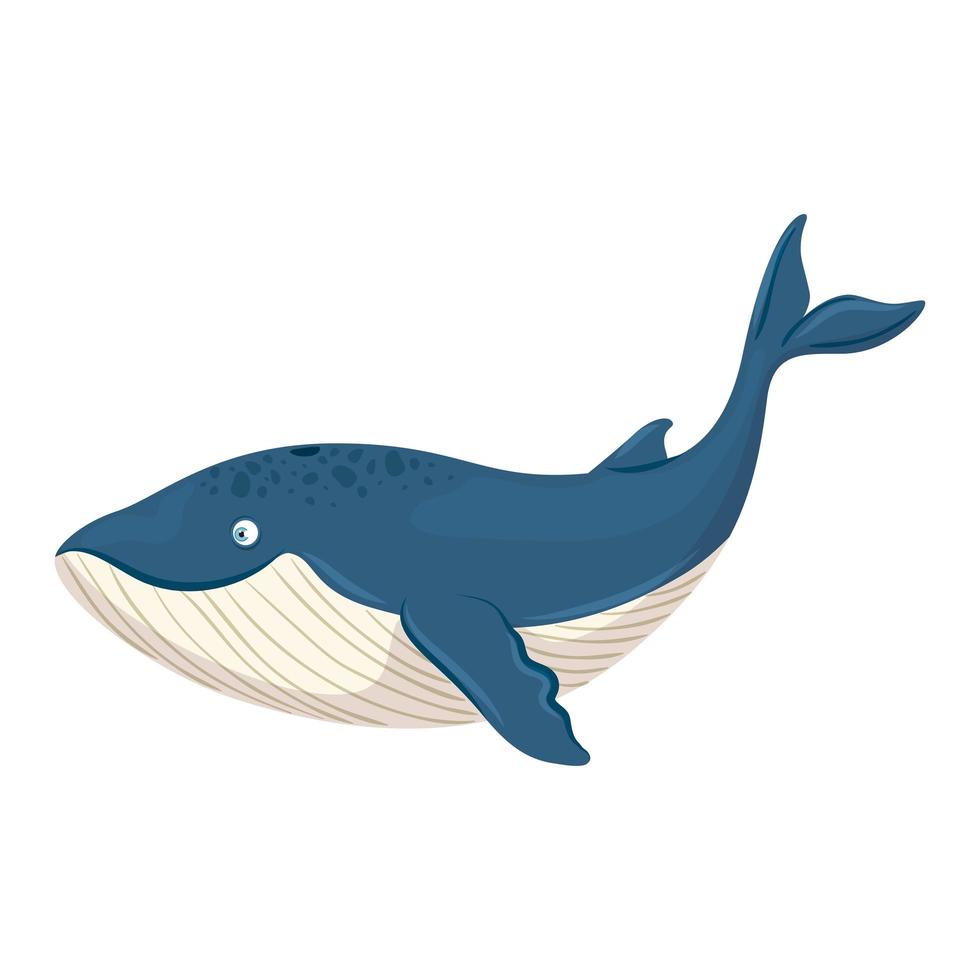 vie sous-marine de la mer, animal de baleine bleue sur fond blanc vecteur