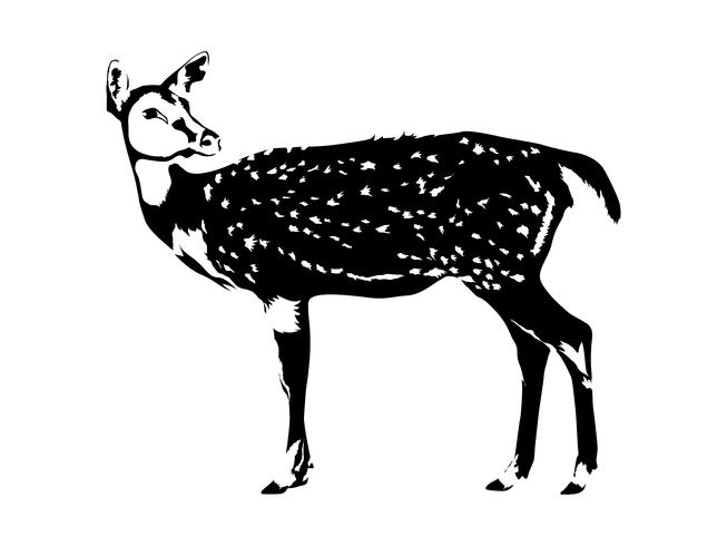 silhouette de cerf en noir et blanc vecteur