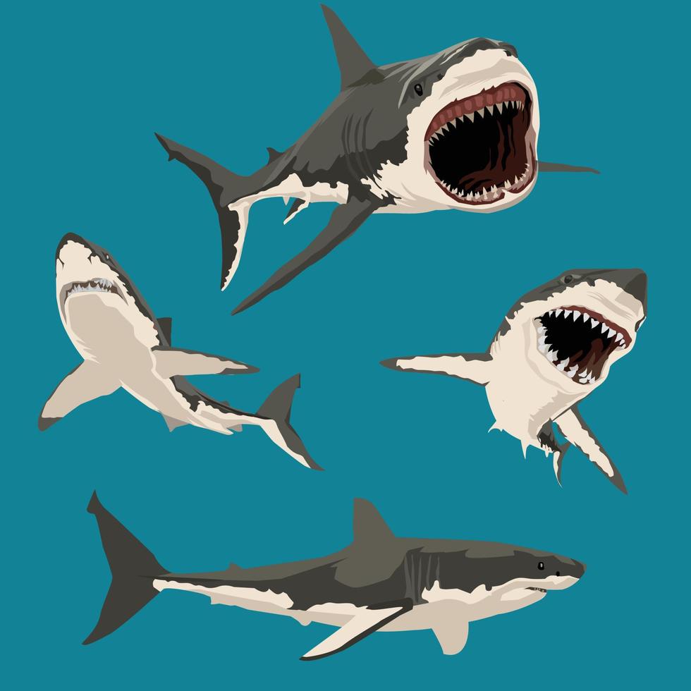 jeu d'illustration animale de caractère vectoriel de requin