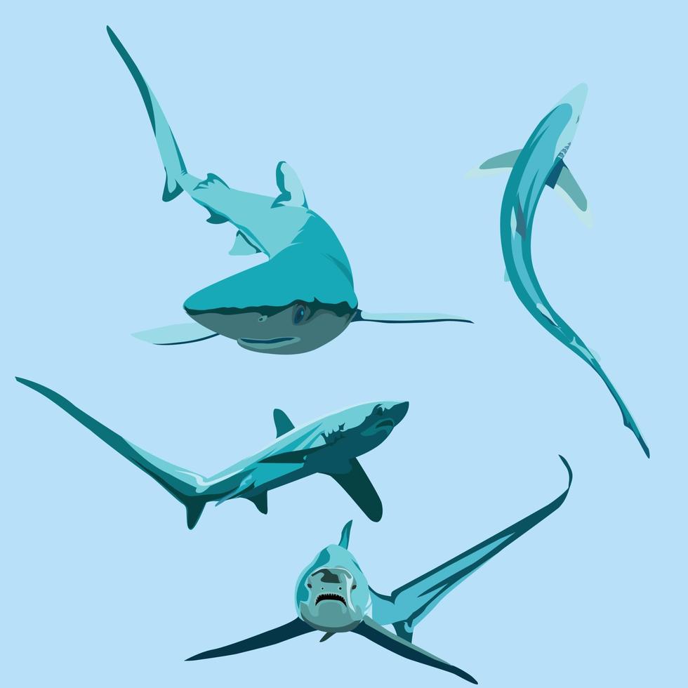 jeu d'illustration animale de caractère vectoriel de requin