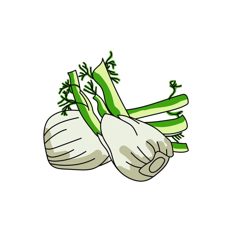 légume de fenouil aux feuilles vertes, ingrédient pour la cuisine, illustration de dessin vectoriel à la main