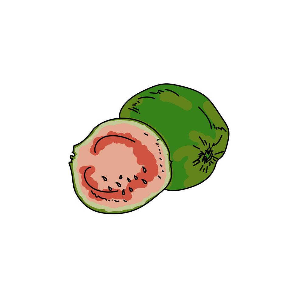 fruit xigua, fruits exotiques roses et verts, illustration vectorielle dessinée à la main vecteur