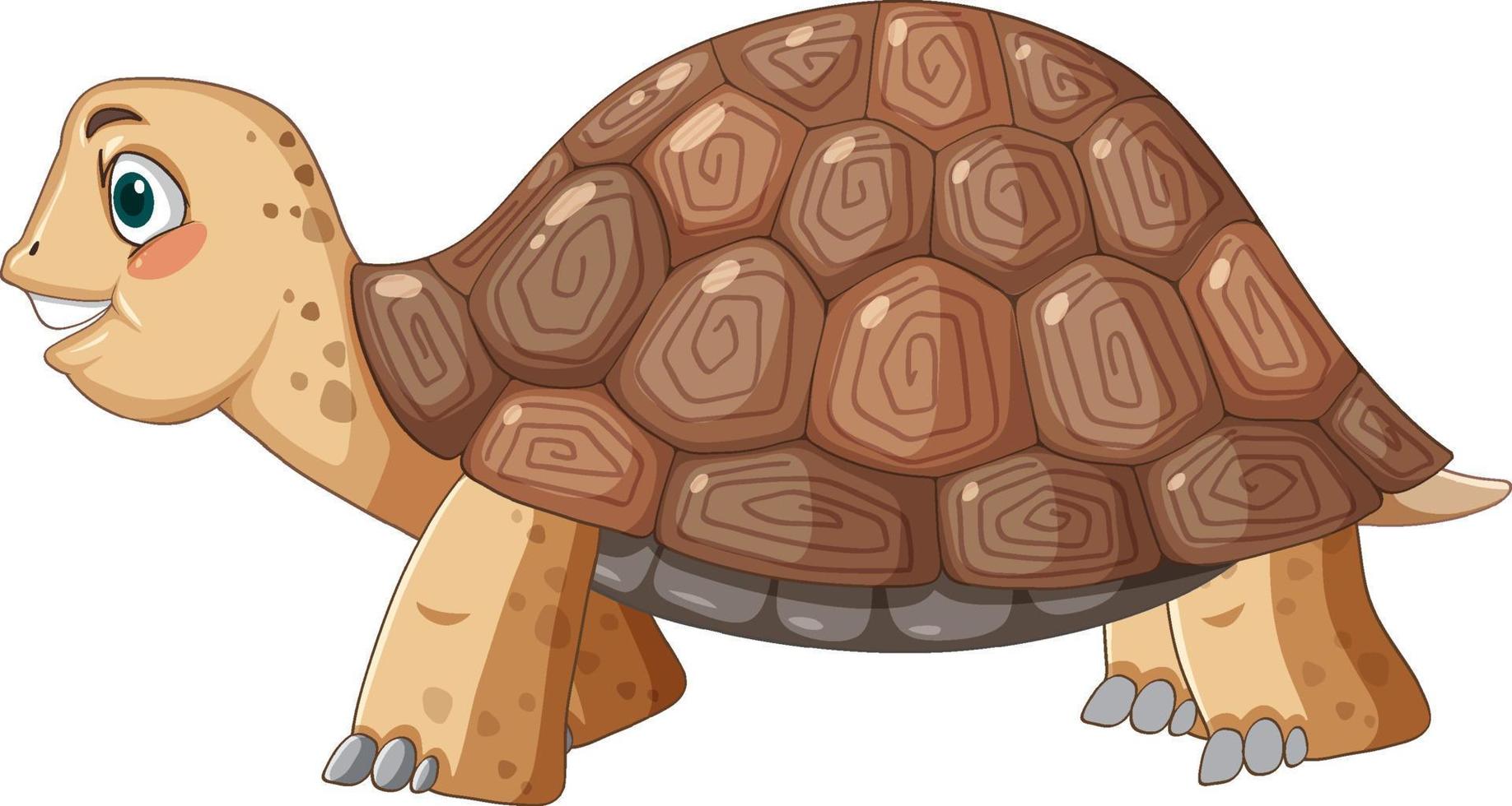 vue latérale d'une tortue avec une carapace brune en style cartoon vecteur