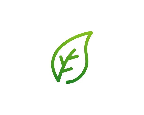 Vecteur icône logo feuille naturelle