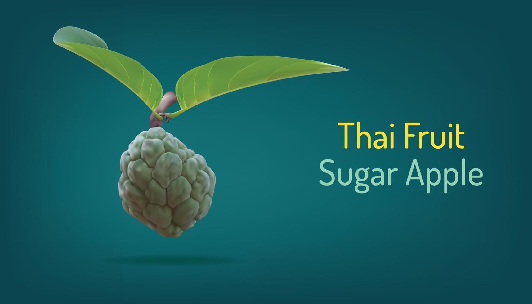 pomme crème réaliste ou pomme à sucre ou sweetsop et belle feuille. thai annona fruit sain. illustration vectorielle eps10 vecteur