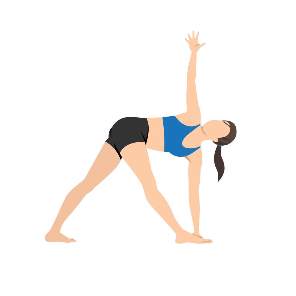 femme faisant un triangle tourné pose exercice parivrtta trikonasana. illustration de vecteur plat isolé sur fond blanc