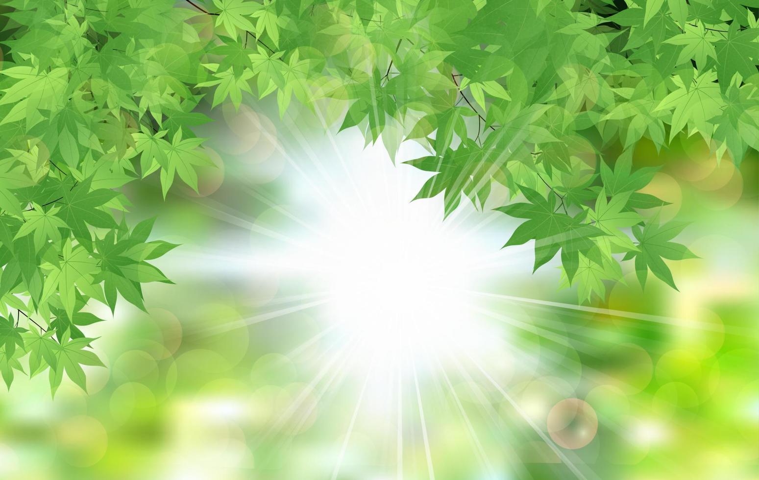 feuilles vertes fraîches d'été avec rayons de soleil vecteur