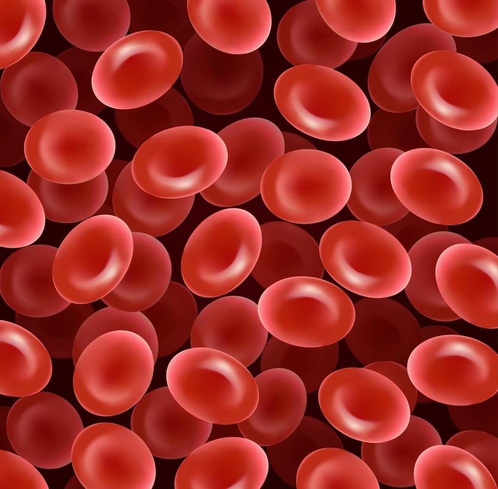 des globules rouges vecteur