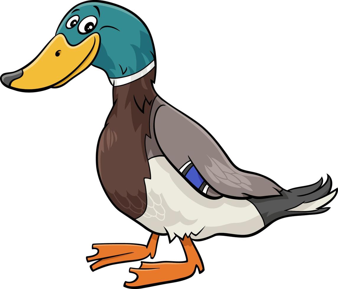 illustration de dessin animé de personnage animal oiseau canard sauvage vecteur