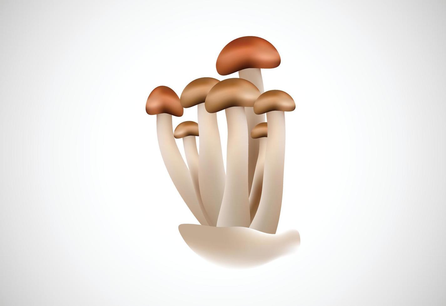 illustration vectorielle de champignon design créatif. éléments floraux vecteur