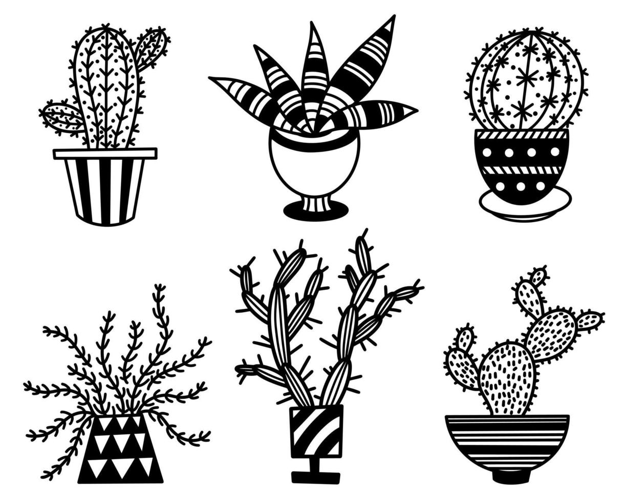 ensemble d'icônes vectorielles de cactus et plantes grasses. plantes épineuses mignonnes dessinées à la main. aperçu de la flore de la maison. plantes de griffonnage dans un pot. croquis botanique sur fond blanc. collection d'illustrations monochromes. vecteur