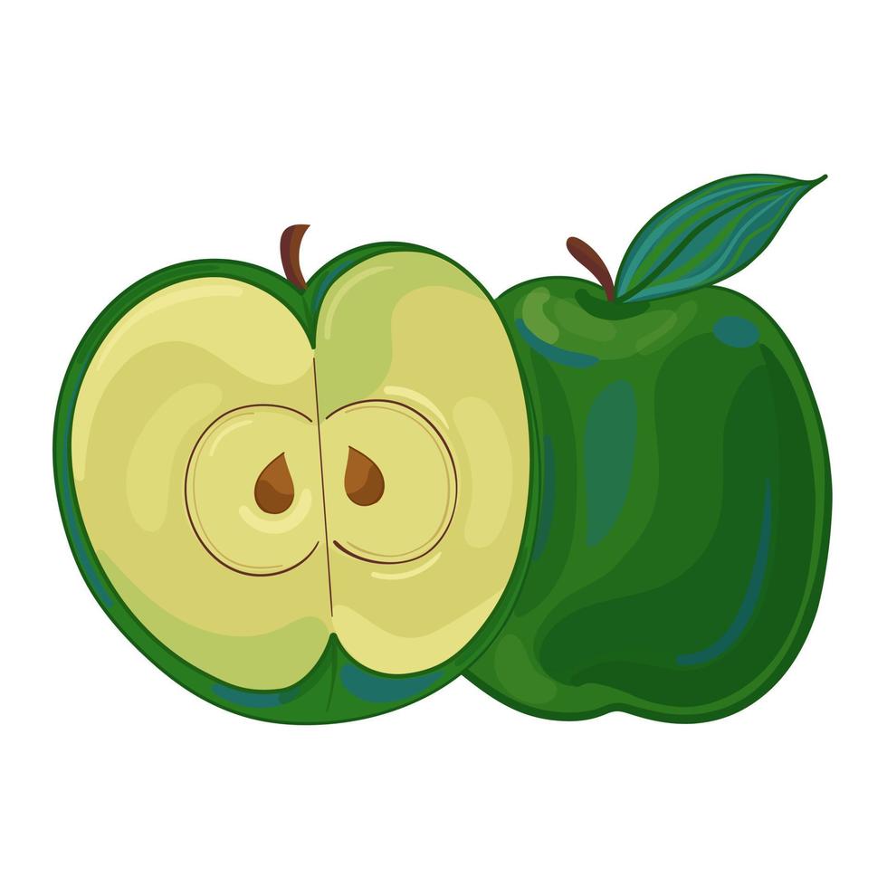 illustration vectorielle style de dessin à la main de pomme de fruits. peinture vectorielle. vecteur
