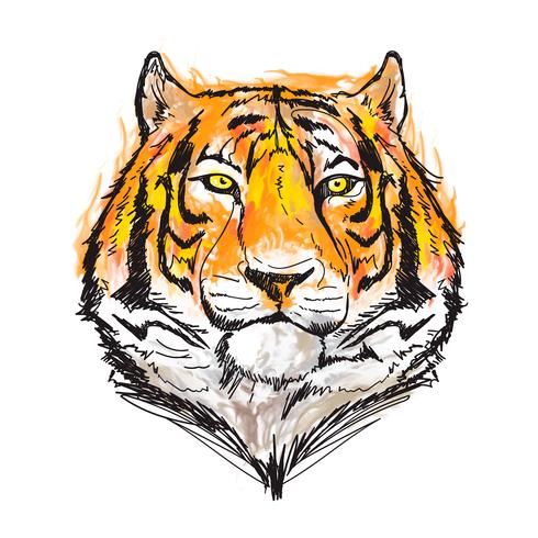 illustration vectorielle aquarelle génial tigre vecteur