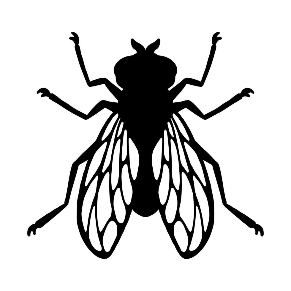mouche insecte. silhouette noire. élément de conception. illustration vectorielle isolée sur fond blanc. modèle pour répulsif. vecteur