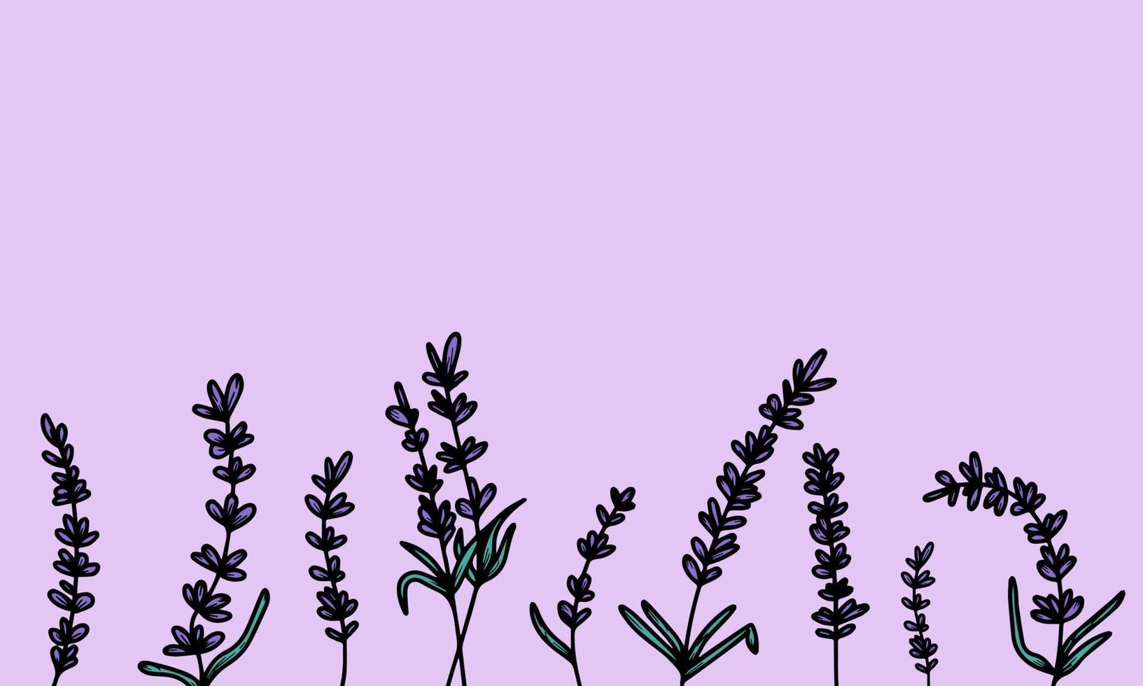 beau fond avec des fleurs de lavande dessinées à la main, des herbes médicales. pour créer une bannière, une affiche, des cartes postales. illustration vectorielle fond lilas. le concept de la provence française, une tendance botanique. vecteur