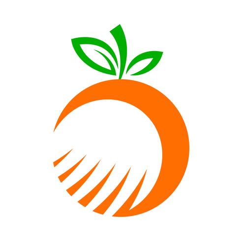 Illustration de fruits orange vecteur