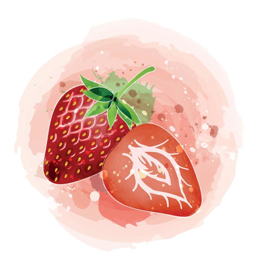 illustration clipart aquarelle fraise avec fond rouge. vecteur