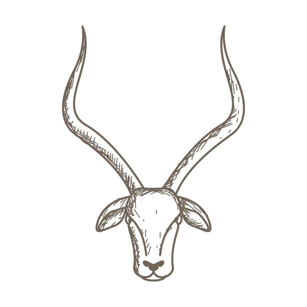 animaux lignes vintage tête antilope logo vecteur symbole icône conception graphique illustration