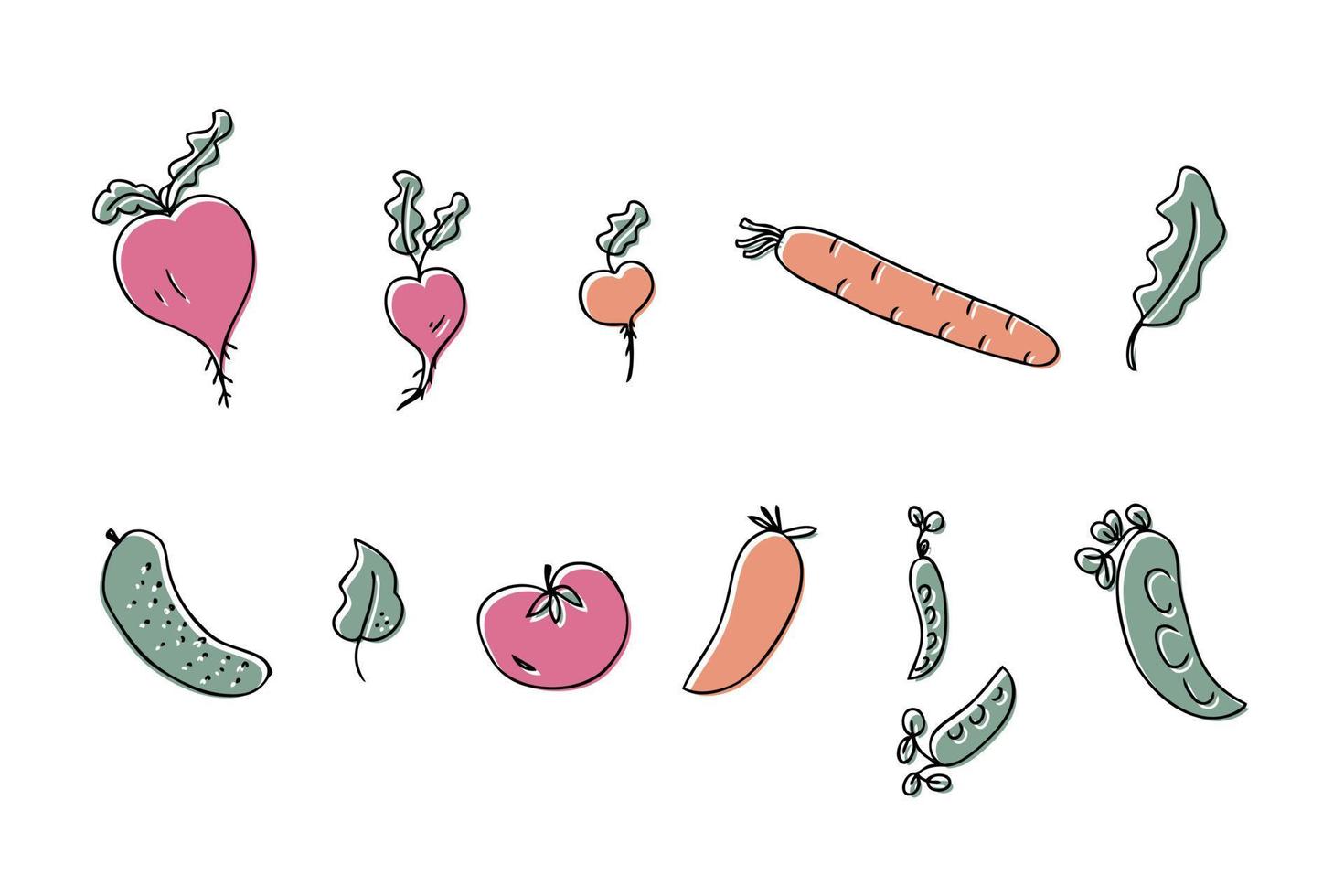 collection d'icônes de légumes de récolte dessinés à la main. vecteur