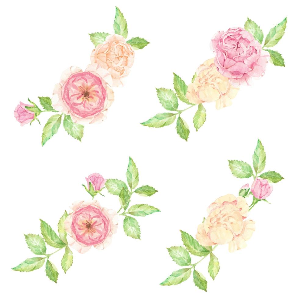 aquarelle beau bouquet de fleurs rose anglais isolé sur fond blanc vecteur