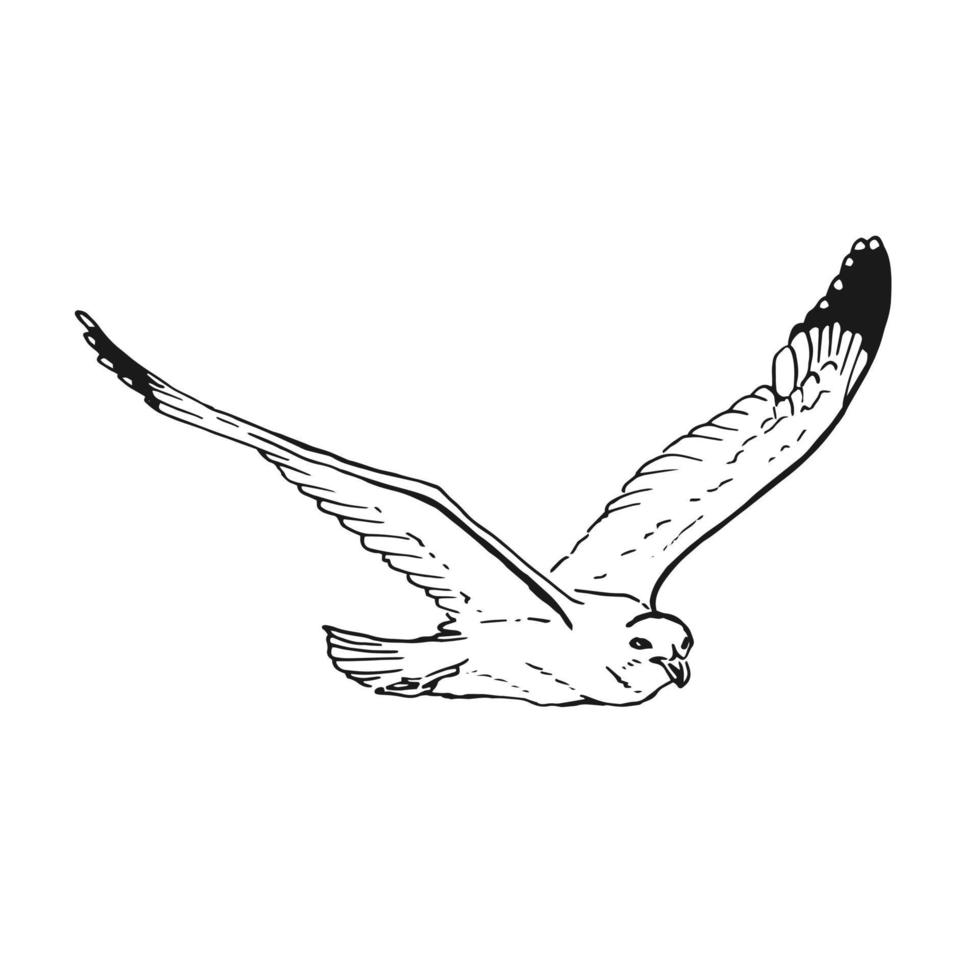 croquis de mouettes volantes. illustration dessinée à la main convertie en vecteur. style d'art en ligne isolé sur fond blanc. vecteur