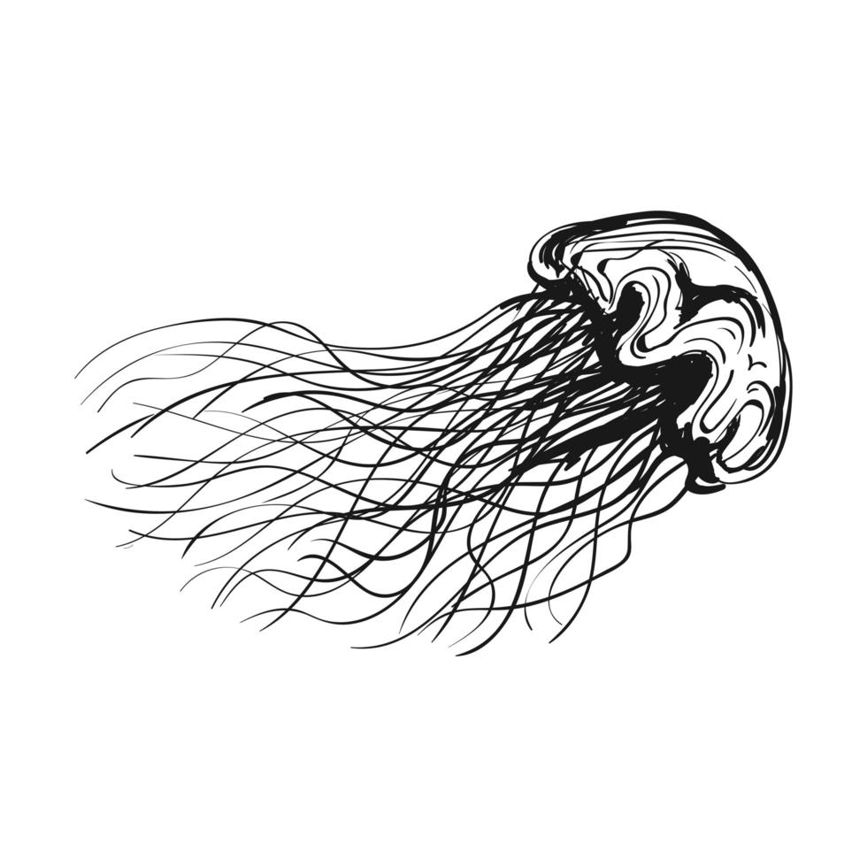 illustration de contour de méduses vecteur