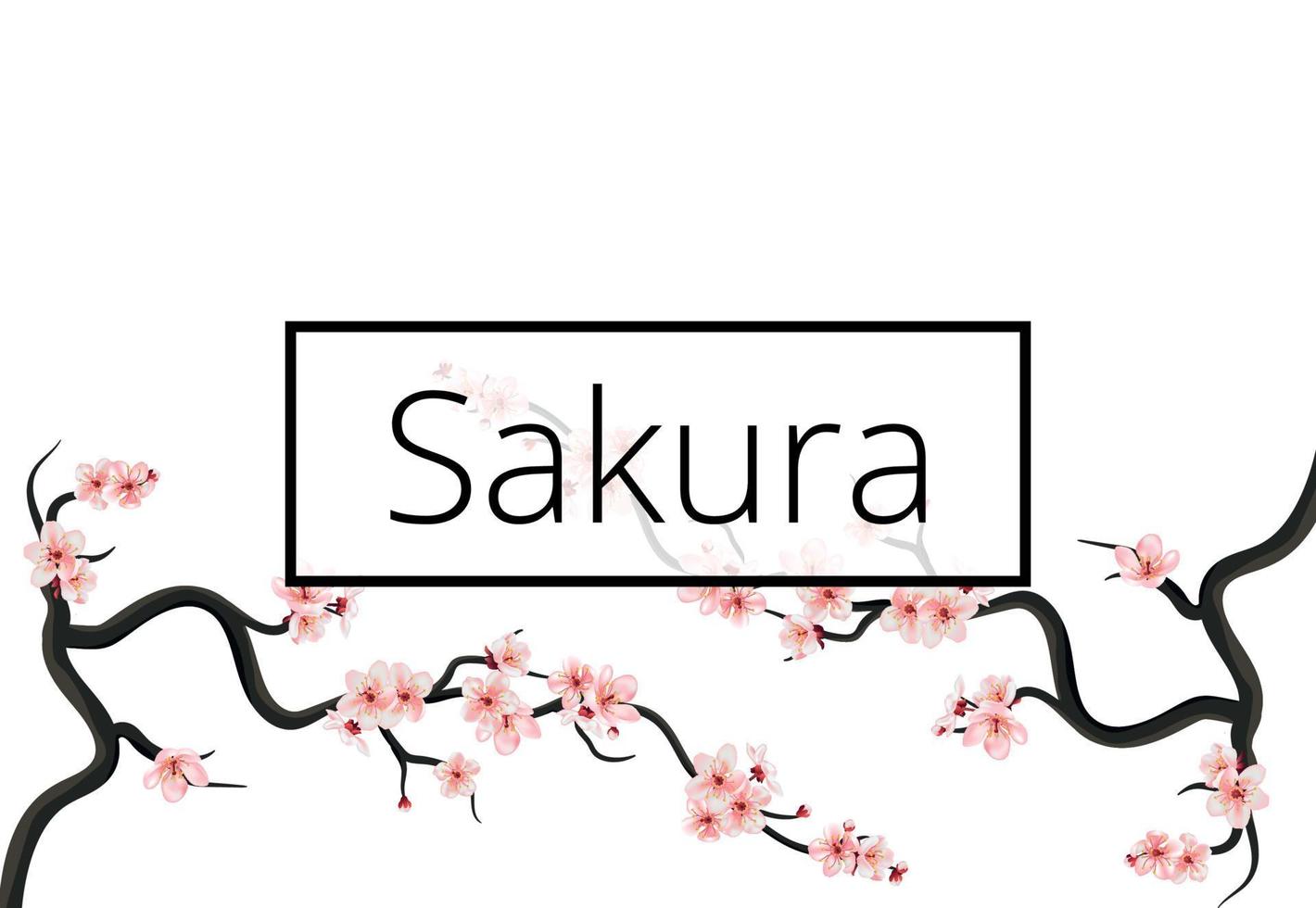 bannière de printemps de branche de cerisier hanami avec sakura rose en fleurs sur fond blanc. modèle de carte de voeux de vecteur avec fleurs fleurs.