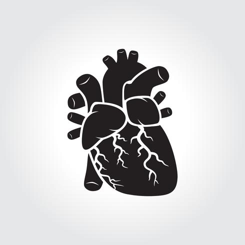 Symbole d&#39;anatomie du coeur vecteur