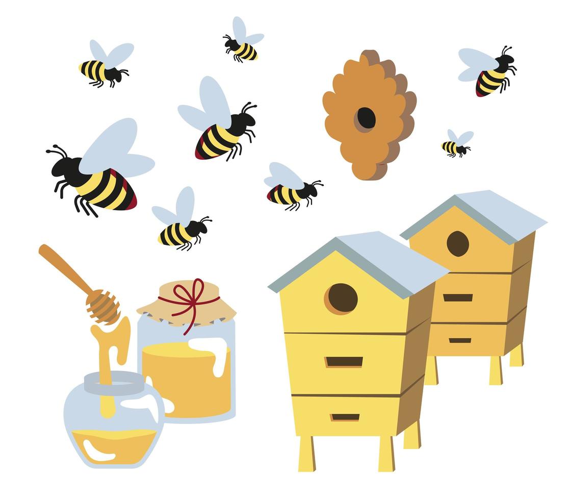 ensemble d'abeilles, pots en verre de miel et ruches diverses, une louche pour le miel. apiculture, équipement apicole, objets de dessin animé isolés sur une illustration vectorielle de fond blanc. vecteur