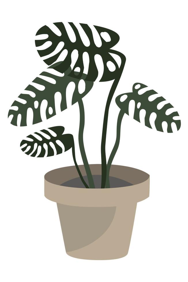monstera dans un pot. plante d'intérieur en style cartoon. illustration vectorielle pour l'emballage, les médias sociaux et le web vecteur